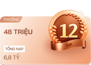 vip 12