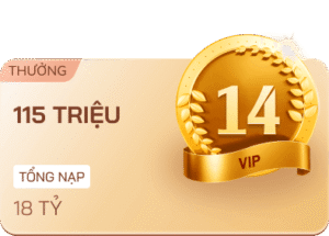 vip 14